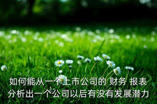 如何能從一個上市公司的 財務 報表分析出一個公司以后有沒有發(fā)展?jié)摿? class=