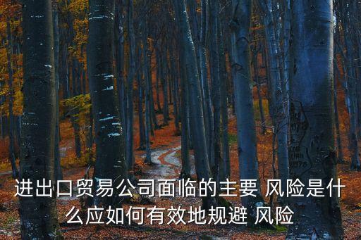 跨國公司進入其他國家的風險案例
