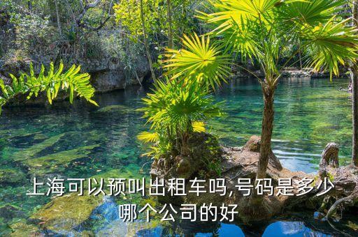 上海海博物流浦東地址