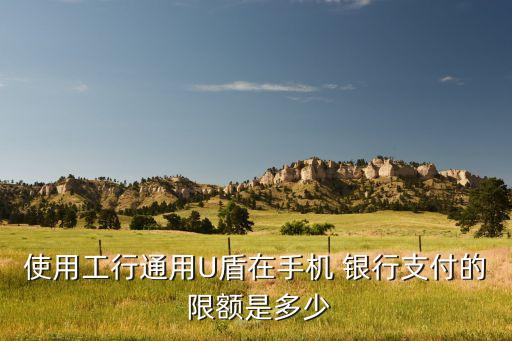 工商銀行優(yōu)盾限額