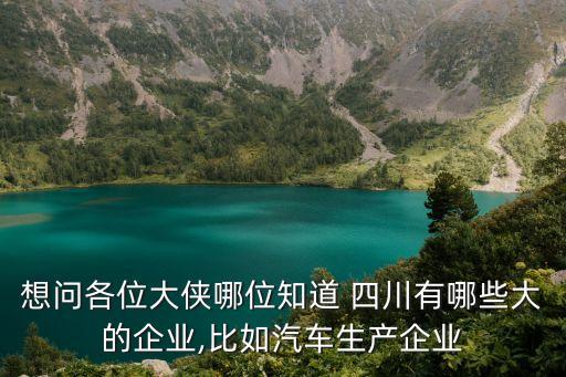 四川龍蟒集團(tuán)營業(yè)執(zhí)照