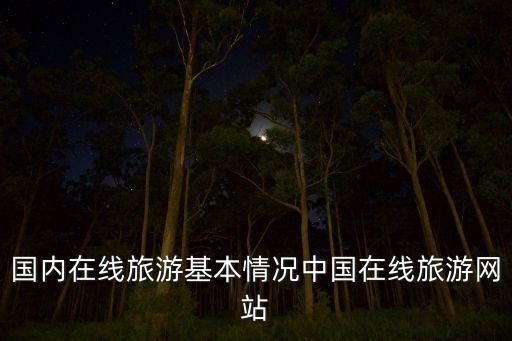 國內(nèi)在線旅游基本情況中國在線旅游網(wǎng)站