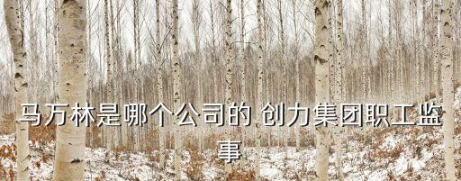 馬萬林是哪個公司的 創(chuàng)力集團(tuán)職工監(jiān)事
