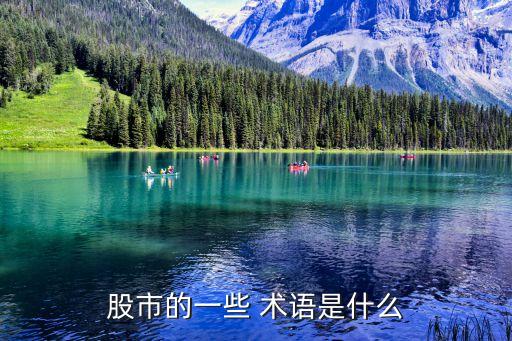 股市的一些 術(shù)語是什么