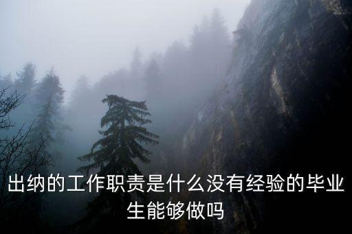 出納的工作職責(zé)是什么沒有經(jīng)驗的畢業(yè)生能夠做嗎