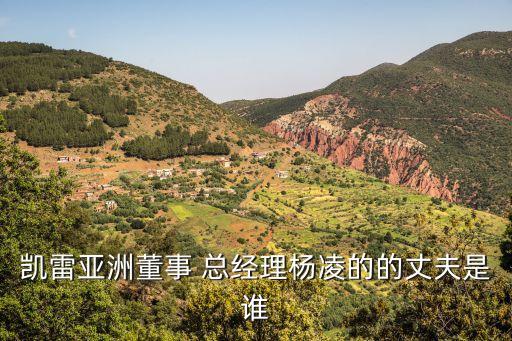 凱雷亞洲董事 總經(jīng)理?xiàng)盍璧牡恼煞蚴钦l(shuí)