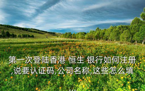第一次登陸香港 恒生 銀行如何注冊,說要認(rèn)證碼,公司名稱,這些怎么填...