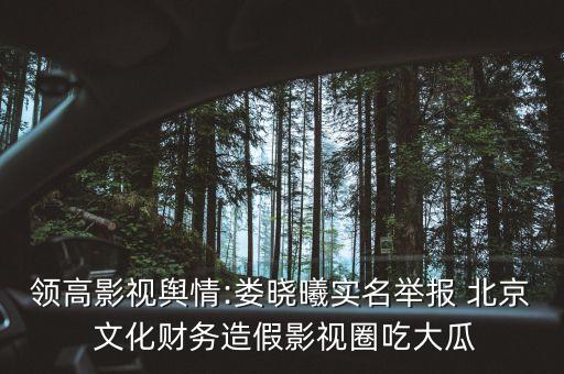 北京文化公告