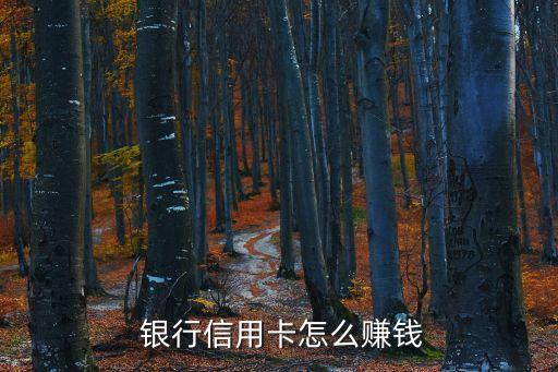  銀行信用卡怎么賺錢(qián)