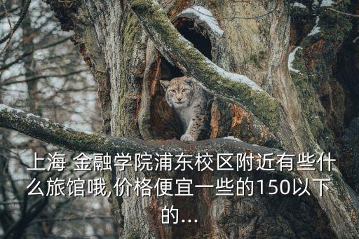  上海 金融學院浦東校區(qū)附近有些什么旅館哦,價格便宜一些的150以下的...