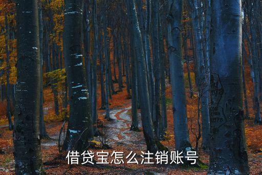  借貸寶怎么注銷(xiāo)賬號(hào)