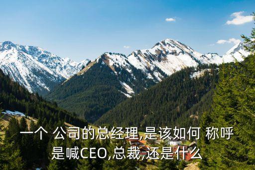 公司領(lǐng)導層稱呼,古代對公司的稱呼