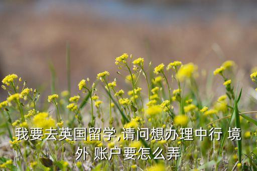 銀行境外賬戶(hù),境外銀行賬戶(hù)會(huì)被國(guó)內(nèi)查到嗎