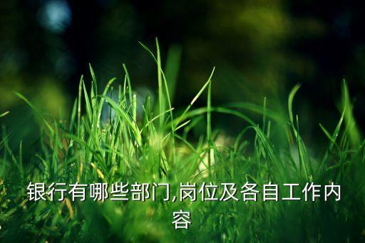 銀行合規(guī)官,銀行首席合規(guī)官什么級(jí)別