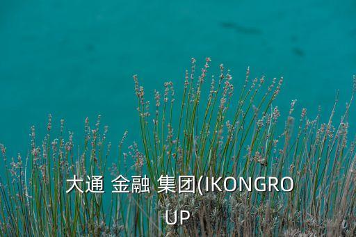  大通 金融 集團(IKONGROUP