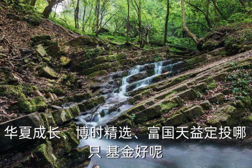 華夏成長(zhǎng)、博時(shí)精選、富國(guó)天益定投哪只 基金好呢