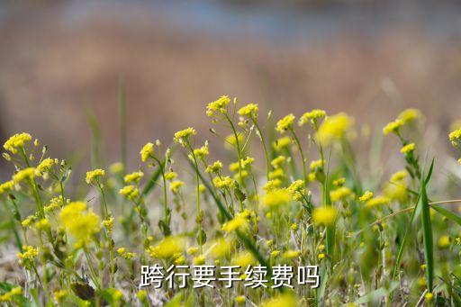 跨行要手續(xù)費(fèi)嗎