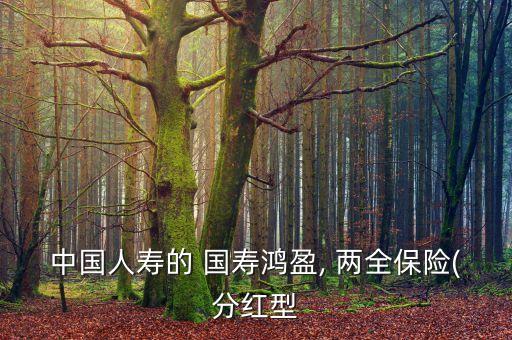 中國人壽的 國壽鴻盈, 兩全保險(xiǎn)(分紅型