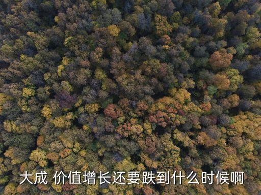  大成 價值增長還要跌到什么時候啊
