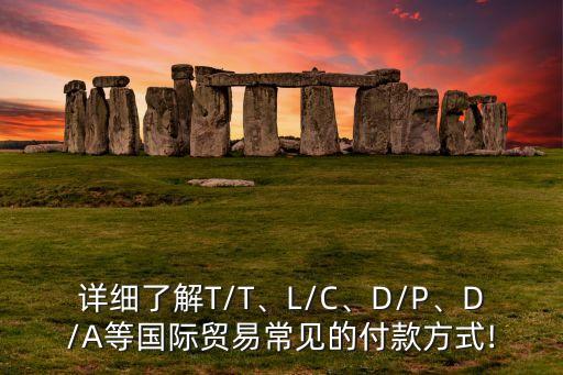 詳細了解T/T、L/C、D/P、D/A等國際貿(mào)易常見的付款方式!