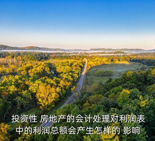  投資性 房地產(chǎn)的會計處理對利潤表中的利潤總額會產(chǎn)生怎樣的 影響
