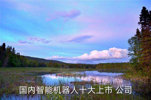 國(guó)內(nèi)智能機(jī)器人十大上市 公司