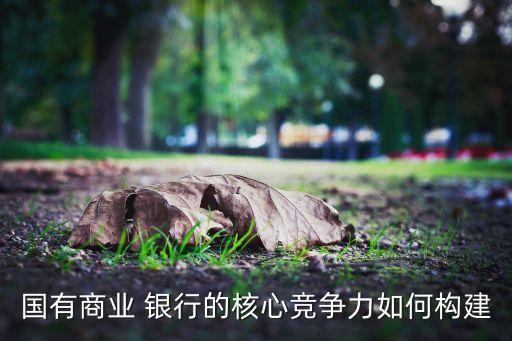 國(guó)有商業(yè) 銀行的核心競(jìng)爭(zhēng)力如何構(gòu)建