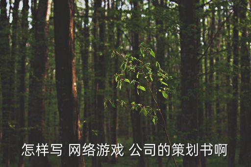怎樣寫(xiě) 網(wǎng)絡(luò)游戲 公司的策劃書(shū)啊