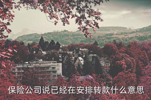  保險公司說已經在安排轉款什么意思