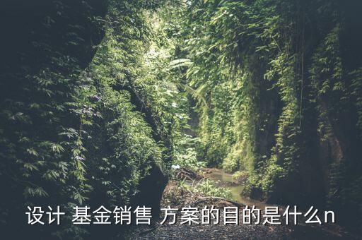 設計 基金銷售 方案的目的是什么n