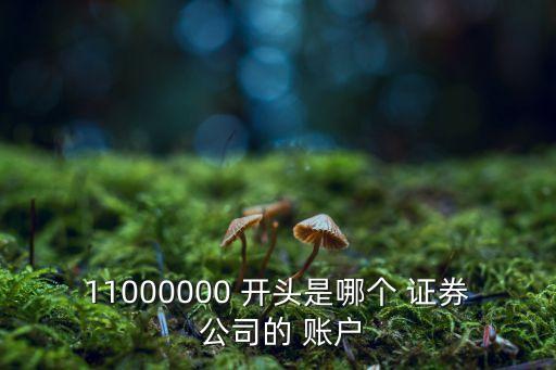11000000 開頭是哪個(gè) 證券 公司的 賬戶