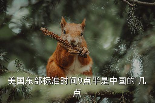 美國東部標(biāo)準(zhǔn)時間9點(diǎn)半是中國的 幾點(diǎn)