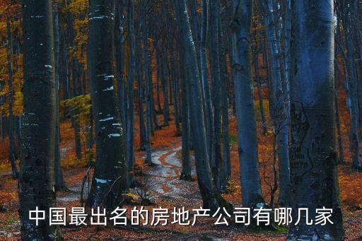 中國(guó)最出名的房地產(chǎn)公司有哪幾家
