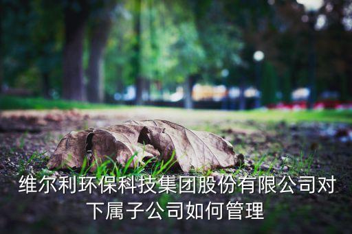  維爾利環(huán)?？萍技瘓F(tuán)股份有限公司對下屬子公司如何管理