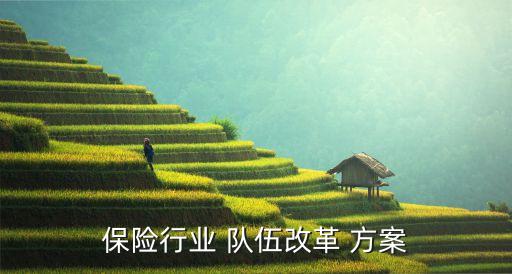 保險行業(yè) 隊伍改革 方案