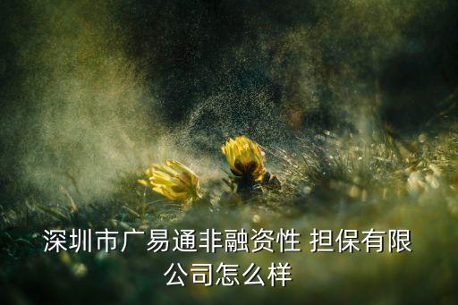  深圳市廣易通非融資性 擔保有限 公司怎么樣