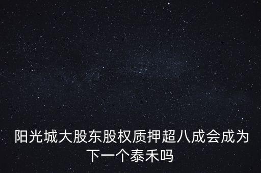 陽光城集團(tuán)2013年凈利潤(rùn)