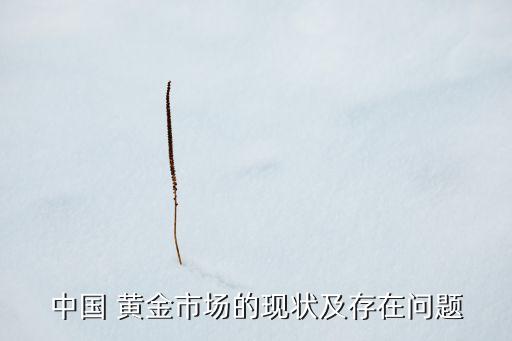 中國 黃金市場(chǎng)的現(xiàn)狀及存在問題