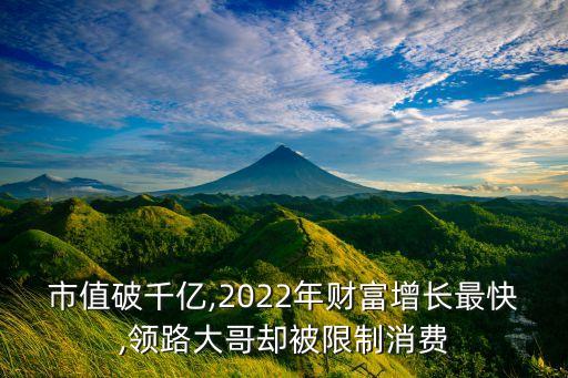 聯(lián)拓集團(tuán)退市警告