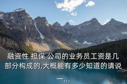 融資性 擔保 公司的業(yè)務員工資是幾部分構成的,大概能有多少知道的請說一...