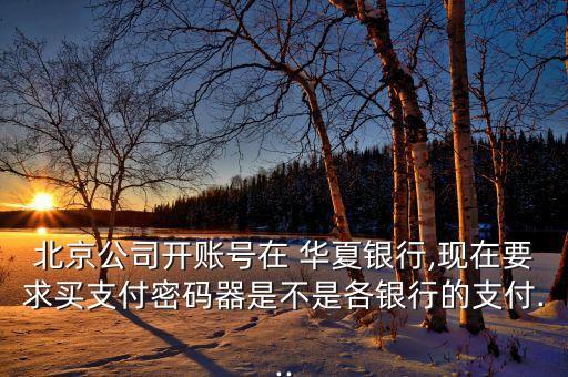 北京公司開賬號在 華夏銀行,現在要求買支付密碼器是不是各銀行的支付...