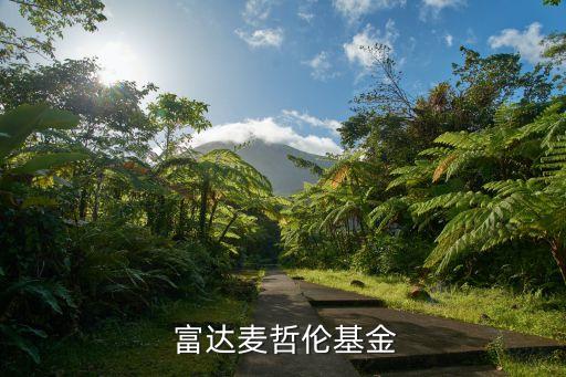 富達慈善投資,富達投資(Fidelity)