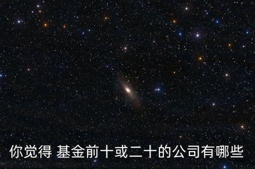 你覺得 基金前十或二十的公司有哪些