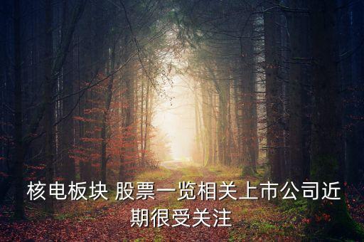 核電制造股票,中國核電股票可以長期持有嗎