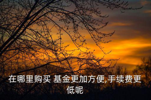 好買(mǎi)基金網(wǎng)買(mǎi)基金收費(fèi)嗎,買(mǎi)基金好還是股票好