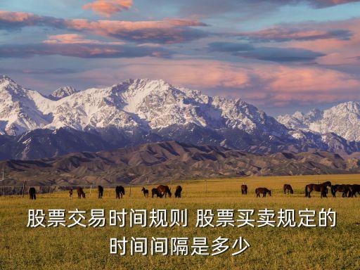 9點(diǎn)30分前可以買(mǎi)入股票嗎