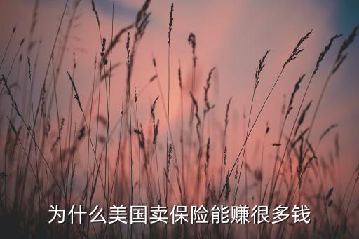 美國(guó)保險(xiǎn)公司投資策略