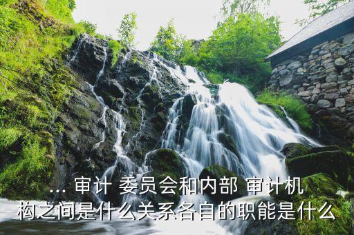 ... 審計 委員會和內(nèi)部 審計機(jī)構(gòu)之間是什么關(guān)系各自的職能是什么