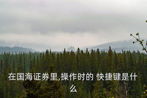 在國(guó)海證券里,操作時(shí)的 快捷鍵是什么