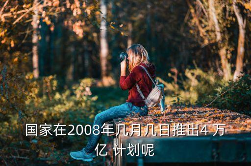 國(guó)家在2008年幾月幾日推出4 萬(wàn)億 計(jì)劃呢